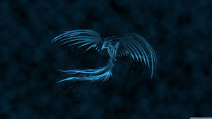 3840x2160 Blue Phoenix ❤ 4k Hd Desktop Wallpaper For • Wide & Ultra Wallpaper