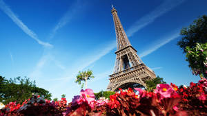 3840x2160 Eiffel Tower Paris France Wallpaper In Jpg Format For Free Download Wallpaper