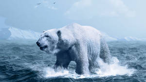 3840x2160 Wallpaper Polar Bear, Arctic, White Bear, Ocean, Hd, Animals Wallpaper