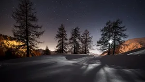 4k 16:9 Winter Starry Sky Wallpaper