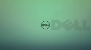 4k Dell Laptop Lid Case Wallpaper