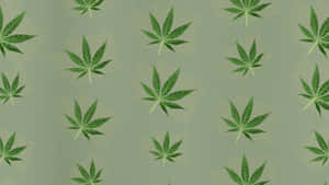 4k Green Marijuana Wallpaper