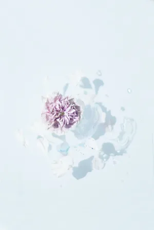 4k Iphone Flower On Water Wallpaper