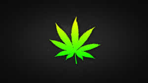 4k Marijuana Leaf Wallpaper