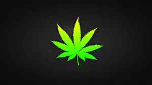 4k Marijuana Leaf Wallpaper
