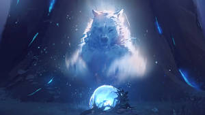 4k Moving Wolf Image Desktop Wallpaper