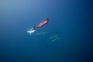 4k Tablet Deep Sea Diver With Whales Wallpaper