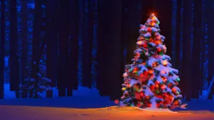 4k Ultra Hd Christmas Tree Forest Wallpaper