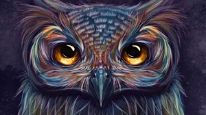 5k Hd Owl Artwork Wallpaper