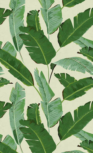 732x1200 Banana Leaves Wallpaper Wallpaper