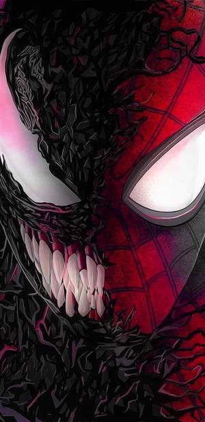 736x1511 Spider Man Wallpaper, Free Stock Wallpaper Wallpaper