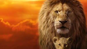 7680x4320 The Lion King Mufasa Simba 4k 8k Wallpaper. Hd Wallpaper Wallpaper