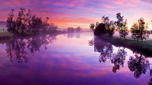 8k Ultra Hd Nature Purple Canal Wallpaper