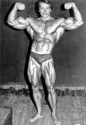 925x1344 Arnold Bodybuilding Wallpaper Wallpaper