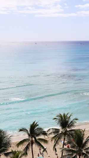A Beach With Palm Trees And A Beach Umbrella Wallpaper