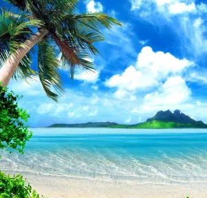 A Beach With Palm Trees And A Blue Sky Wallpaper