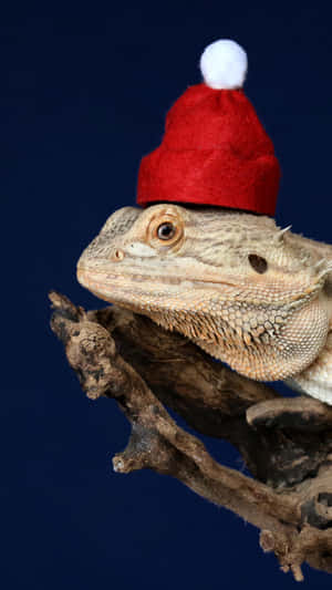 A Bearded Dragon Wearing A Santa Hat Wallpaper