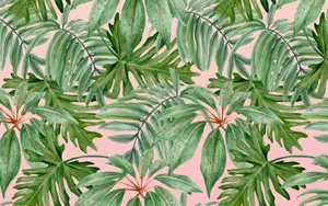 A Beautiful Background Of Tropical Leaves On A Computer Desktop Wallpaper