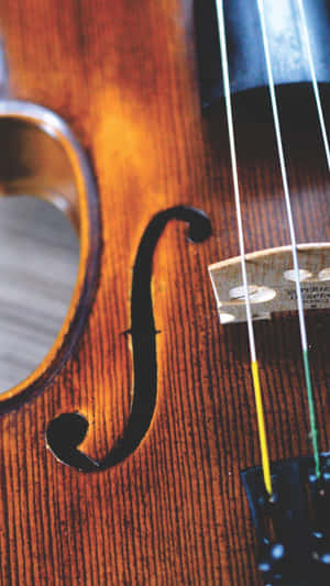 A Beautiful Stradivarius Violin Wallpaper