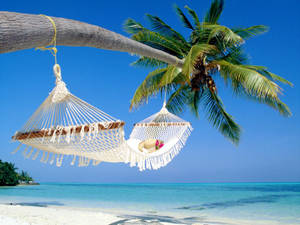 A Beautiful Tropical Beach, Perfect For A Vacation. Wallpaper