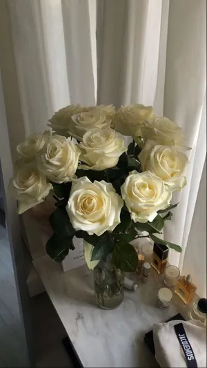 'a Beautiful White Rose, A Symbol Of Purity And Innocence.' Wallpaper