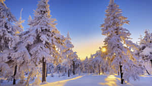 A Beautiful Winter Day In New Hampshire Wallpaper