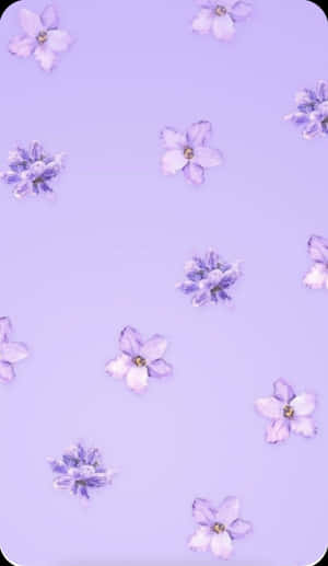 A Beautifully Soft And Elegant Light Purple Wallpaper