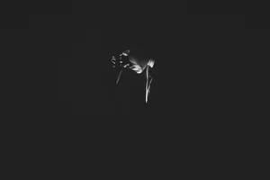 A Black And White Photo Of A Person In The Dark Wallpaper