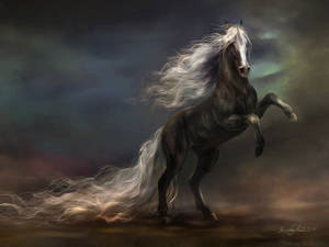 A Black Horse In Midair Stretching Out Its Neck And Mane Wallpaper