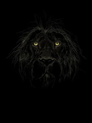 A Black Lion Takes Center Stage Wallpaper