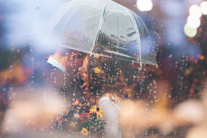 A Bride And Groom Kiss In The Rain Under An Umbrella Wallpaper
