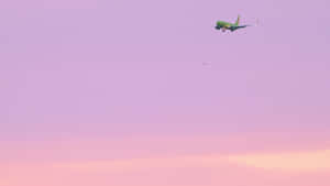 A Bright Pink Plane Taking Off Into The Sky Wallpaper