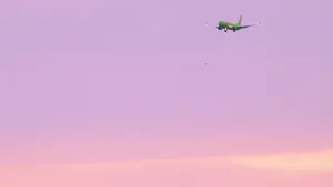 A Bright Pink Plane Taking Off Into The Sky Wallpaper