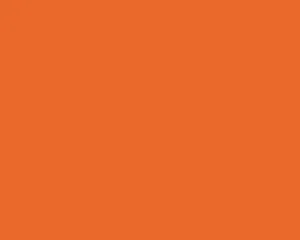 A Bright, Punchy Plain Orange Background Wallpaper