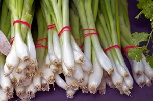 A Bundle Of Spring Onions Tied With Red Strings Wallpaper
