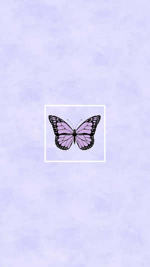 A Butterfly On A Purple Background Wallpaper