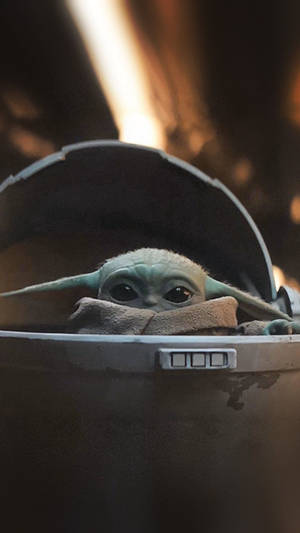 A Capsule Spheres Protects Cute Baby Yoda Wallpaper