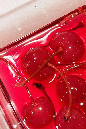 A Cherry Blossom Tree In Full Bloom - A Beautiful Springtime Aesthetic! Wallpaper