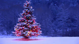 A Christmas Tree In The Snow With Lights On It Wallpaper
