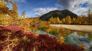 A Colorful Autumn Scene Of Trees And Fields Wallpaper