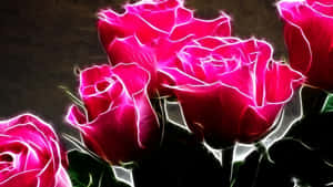 A Colorful Bouquet Of Roses Against A Black Background. Wallpaper