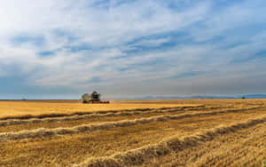 A Combine Harvester In A Field Wallpaper