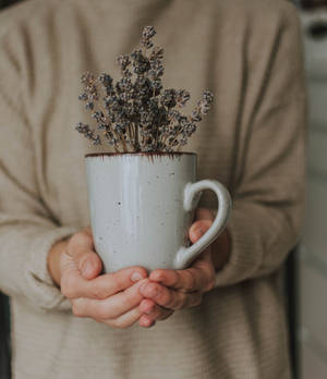 A Cup Of Lavender Flowers Wallpaper