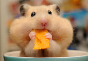 A Curious Mouse Indulging In A Delicious Potato Chip Feast. Wallpaper