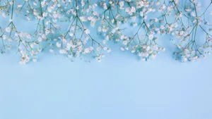 A Cute And Elegant Light Blue Background Wallpaper