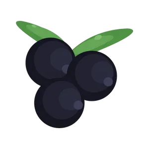 A Cute Blackcurrant Wallpaper