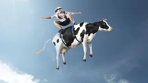 A Daring Skater Proves No One Can Keep Him From Completing His Stunts, Not Even A Cow! Wallpaper