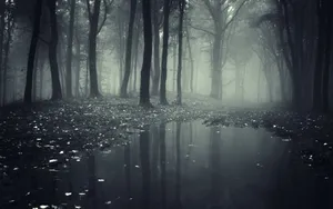 A Dark And Mysterious Forest Wallpaper