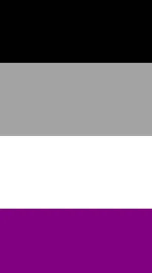 A Flag With A White, Black, And Grey Color Wallpaper