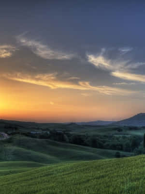 A Forest Babbling Brook Of The Pristine Nature Wallpaper